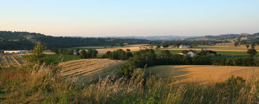 
            Фотография Кольбуккаро