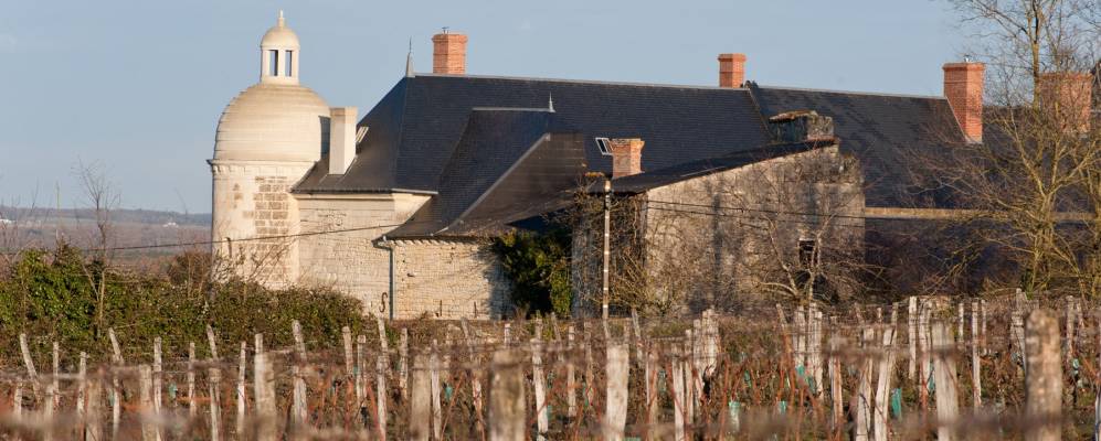 
            Фотография Берри