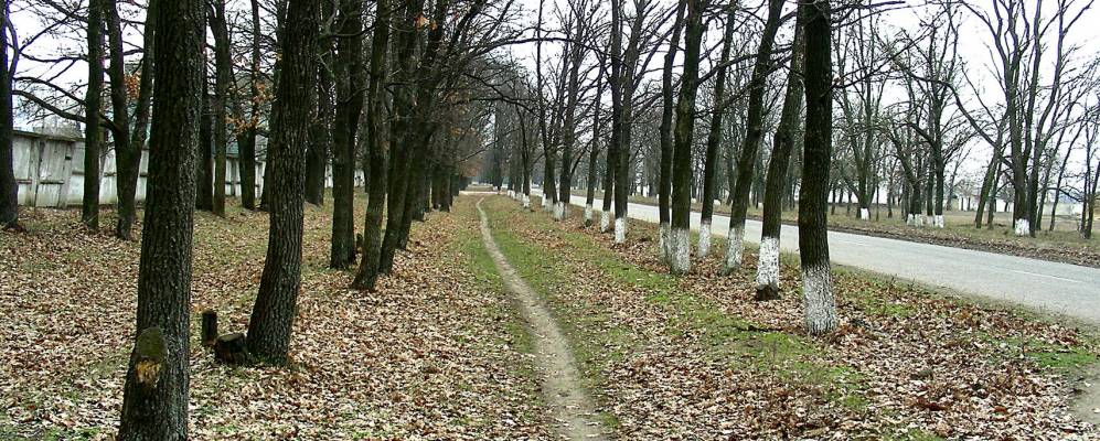 
            Фотография Терно-Лозоватки