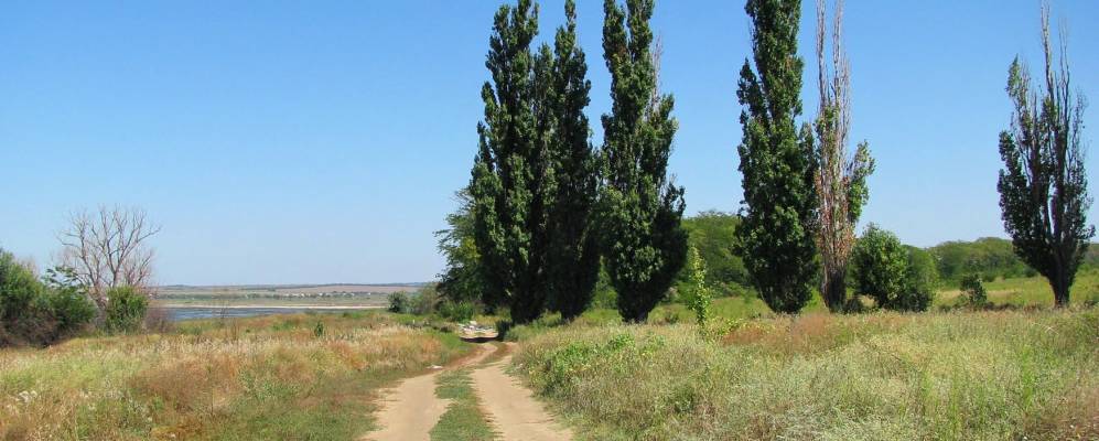 
            Фотография Капустина