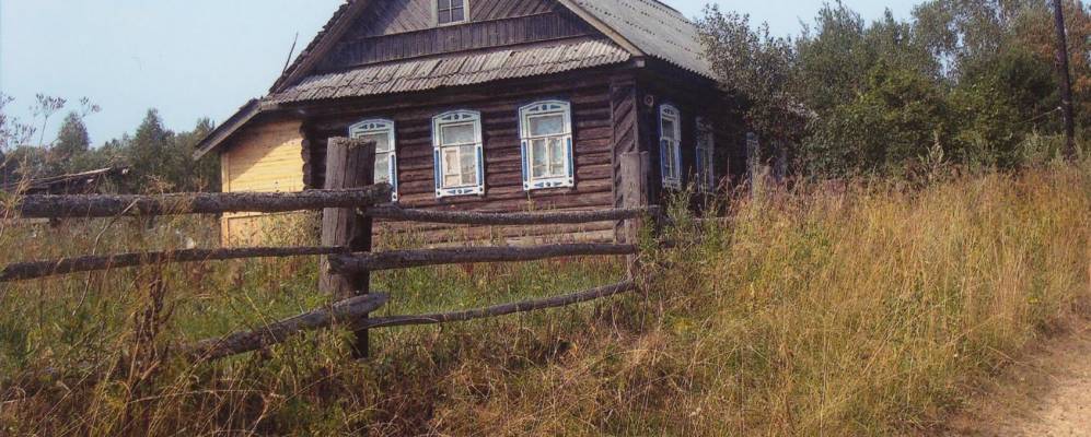 
            Фотография Желонки