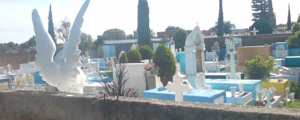 
            Фотография Ромиты