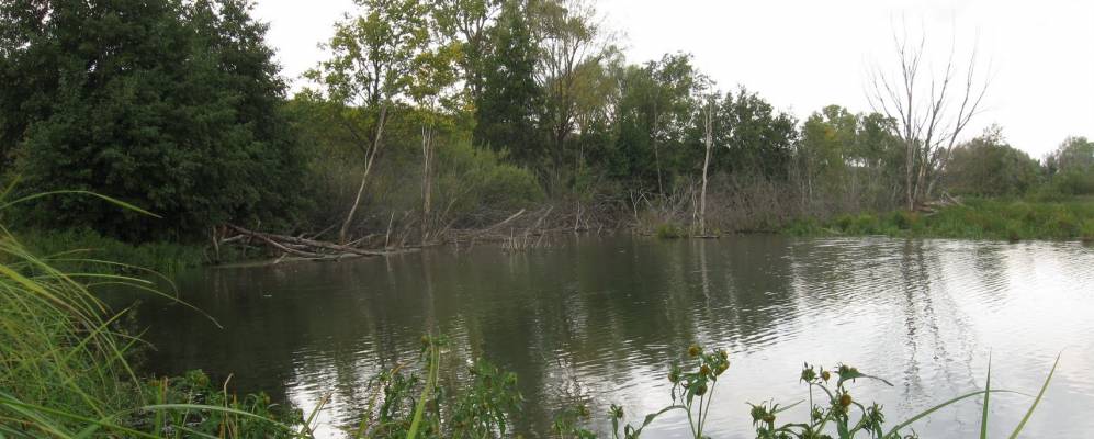 
            Фотография Отар