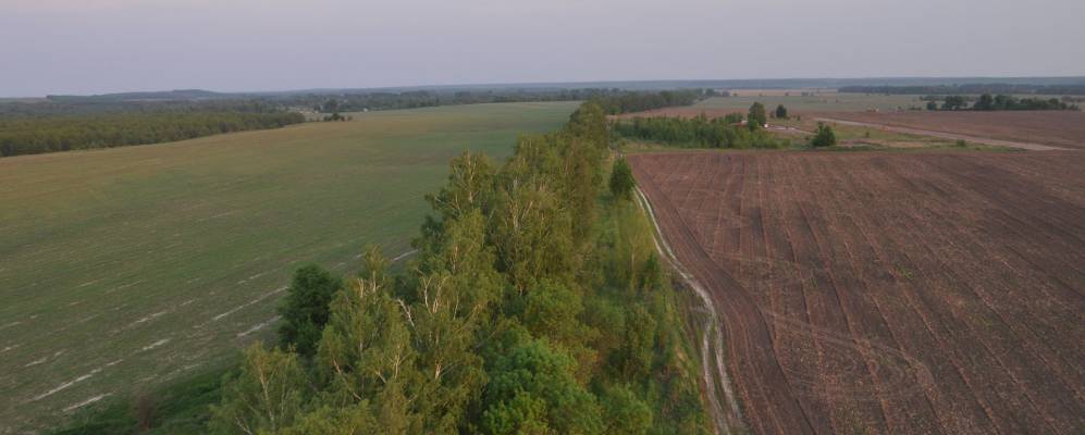 Фотография Оникиевки