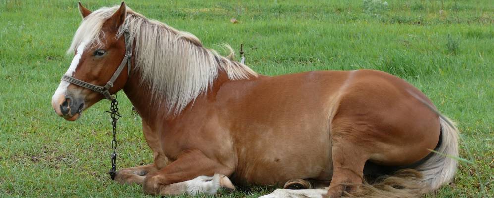 
            Фотография Фасовой