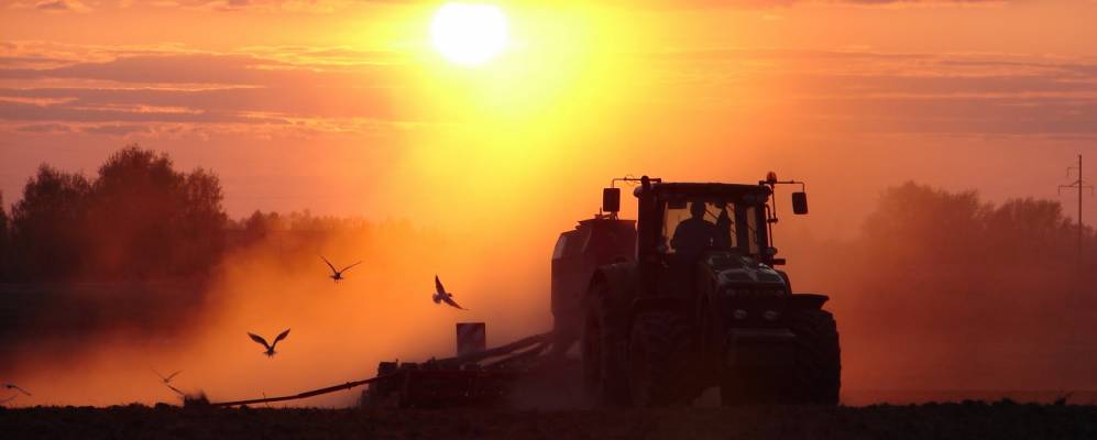 Фотография Легканура