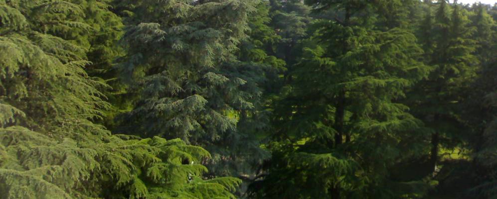 
            Фотография Монтичелли Терме