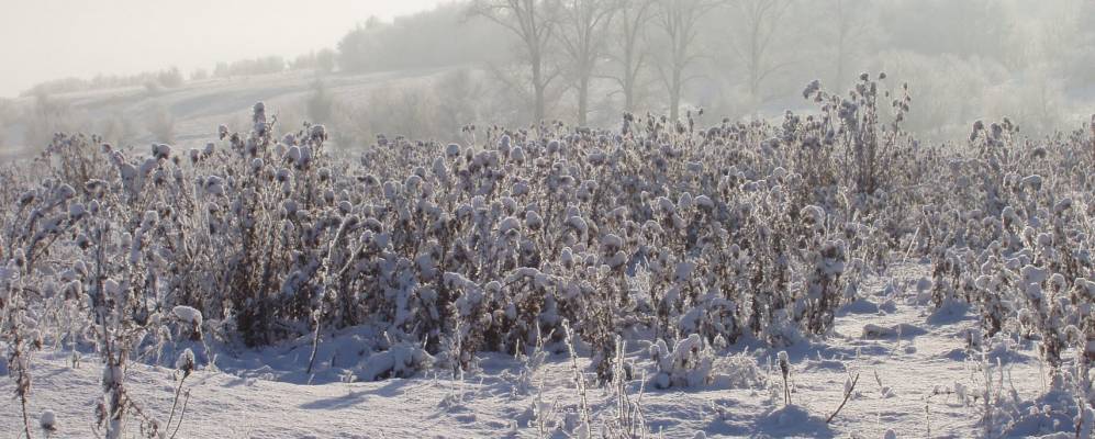 Фотография Надеждовки