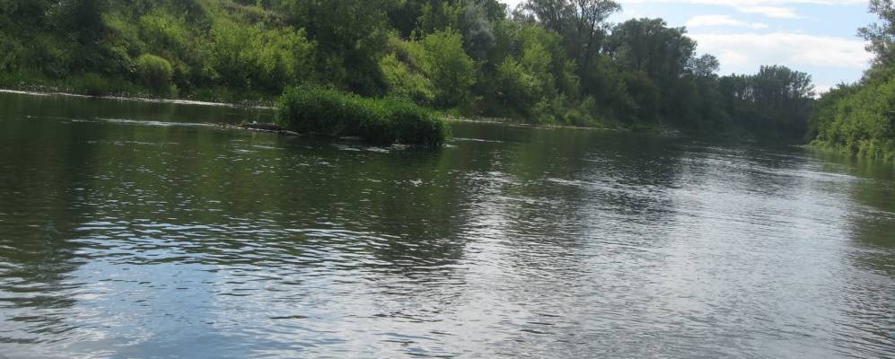 
            Фотография Никольского