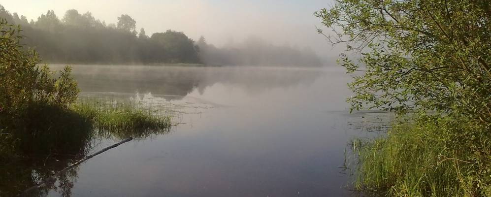 
            Фотография Давыдовщины