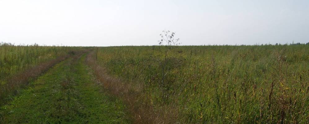 
            Фотография Кустовцы