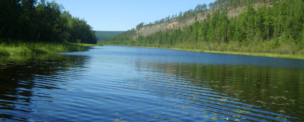 
            Фотография Тобука