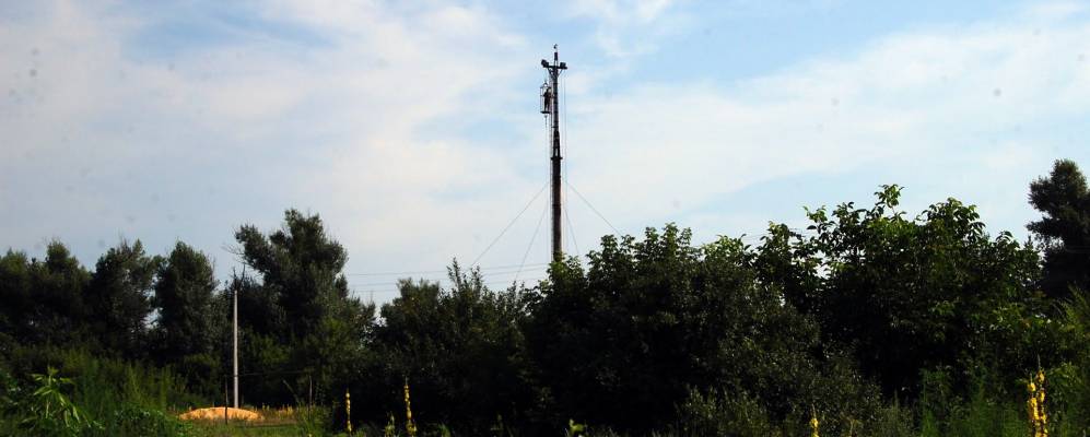 Фотография Кряковки