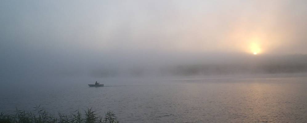 
            Фотография Новооскочного