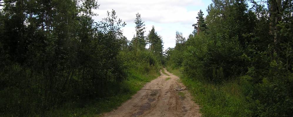 
            Фотография Яблонца