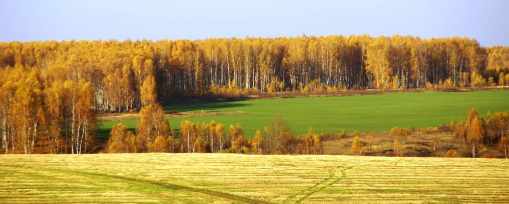 Фотография Кривского