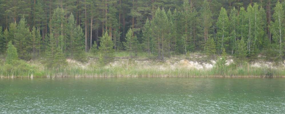 
            Фотография Андреевского