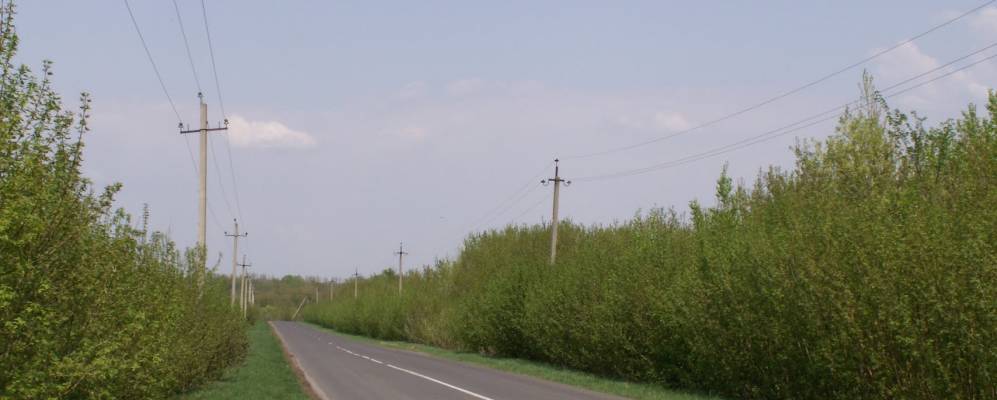 
            Фотография Хонока