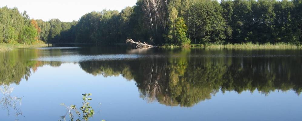 
            Фотография Баханы