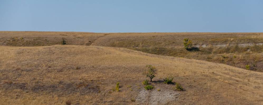 
            Фотография Беляевского