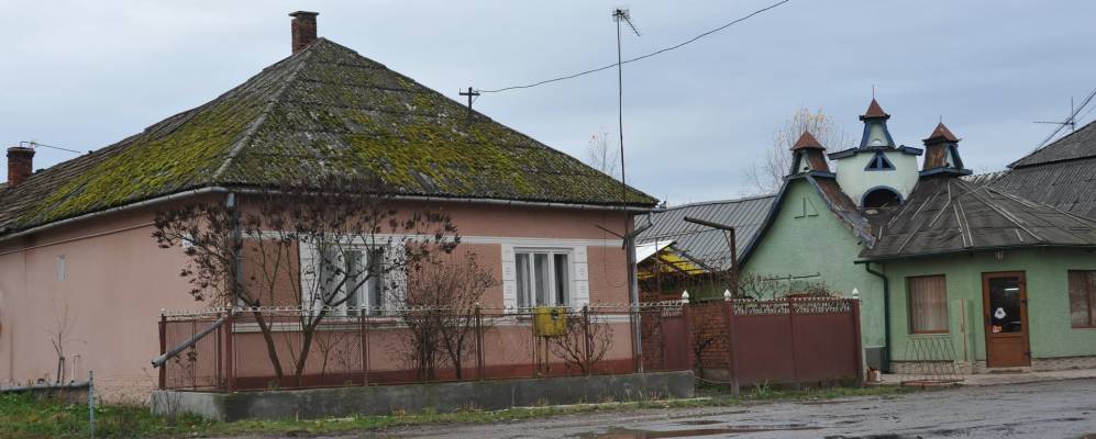 
            Фотография Гуняди