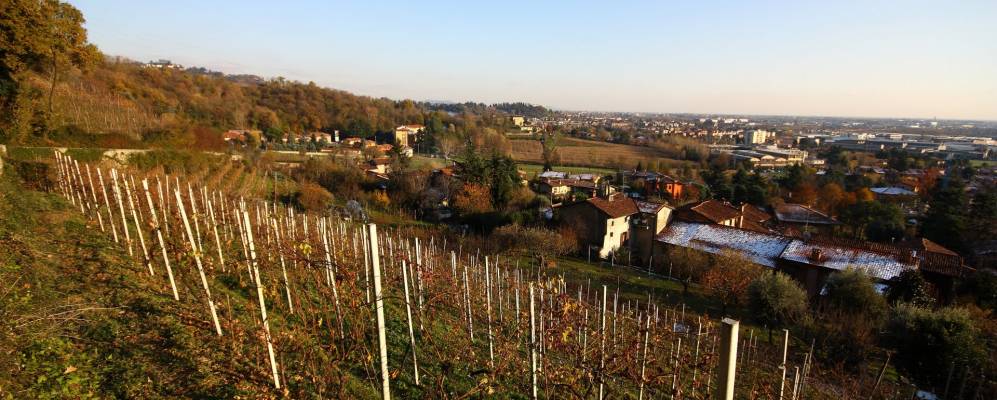 
            Фотография Моццо