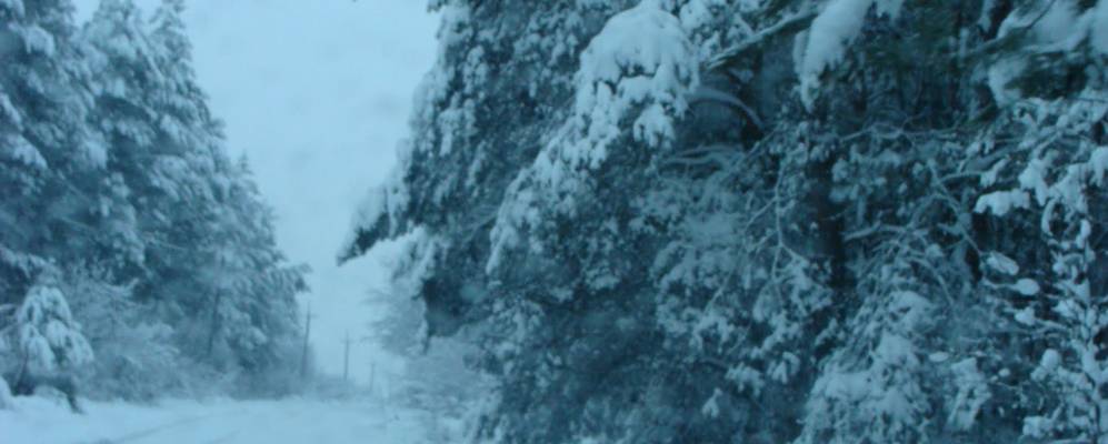 
            Фотография Борового