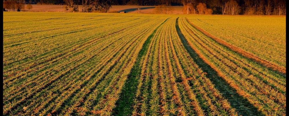 
            Фотография Ори-ля-Виля