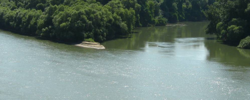 Фотография Коржевского