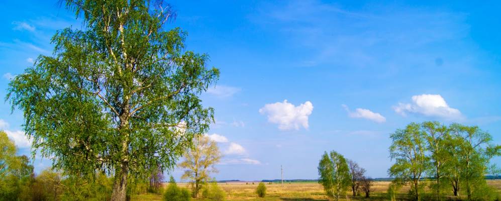 
            Фотография Октябрьского