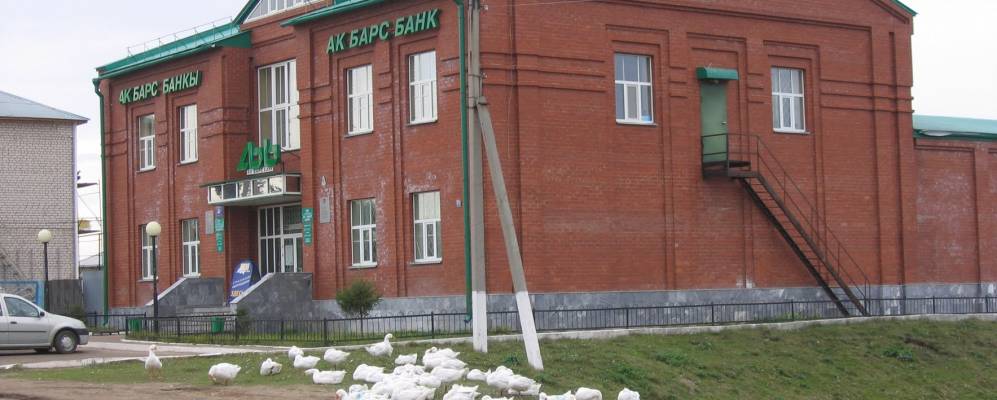 
            Фотография Тяжбердино