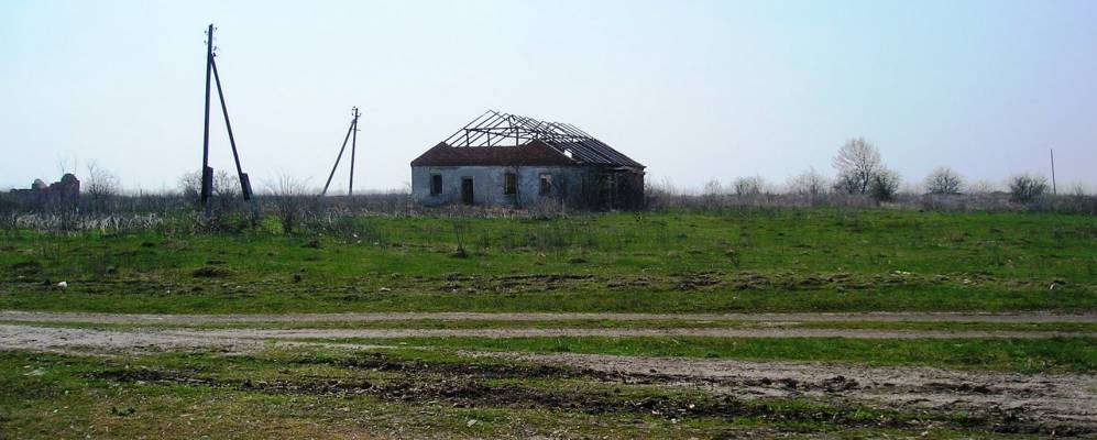 
            Фотография Птичьего