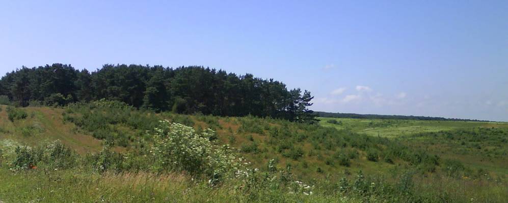 
            Фотография Зборова