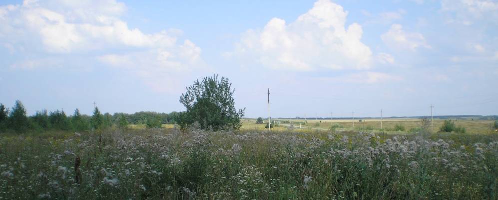 
            Фотография Сормпось-Мочея