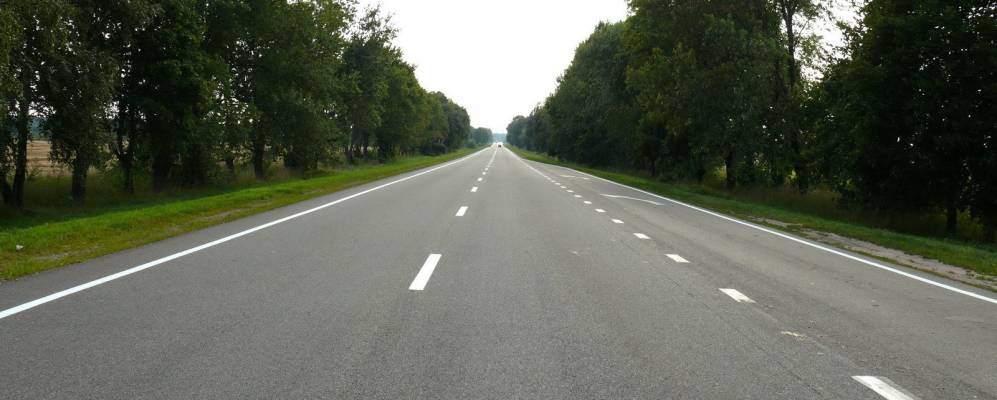 
            Фотография Городища