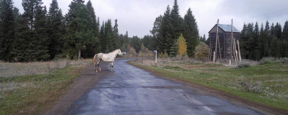 Фотография Федорцова