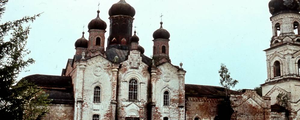 Фотография Алешонок