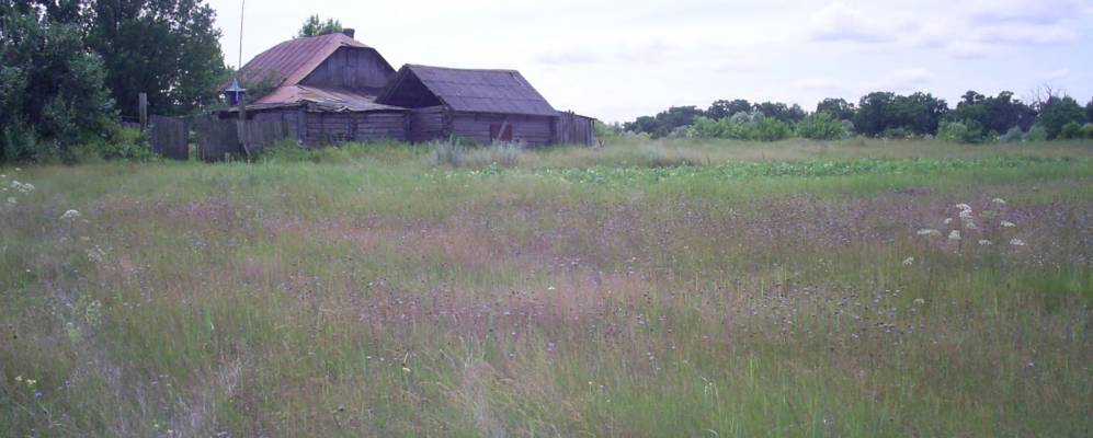 Фотография Пересово