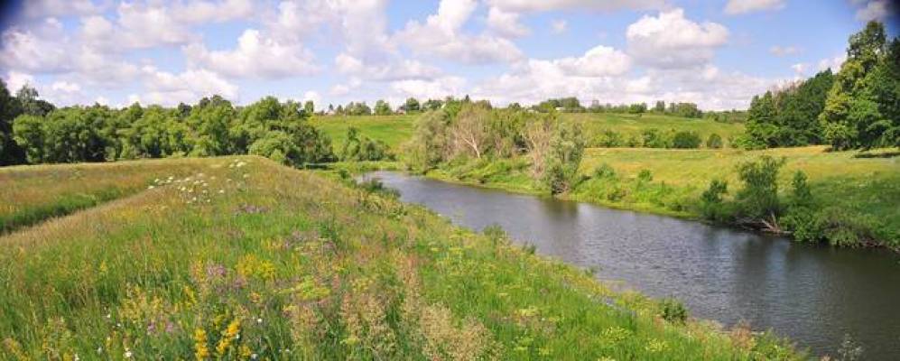 
            Фотография Городища