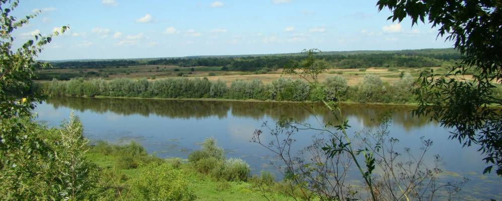 Фотография Щучья