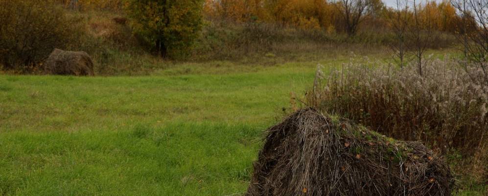 
            Фотография Куракино