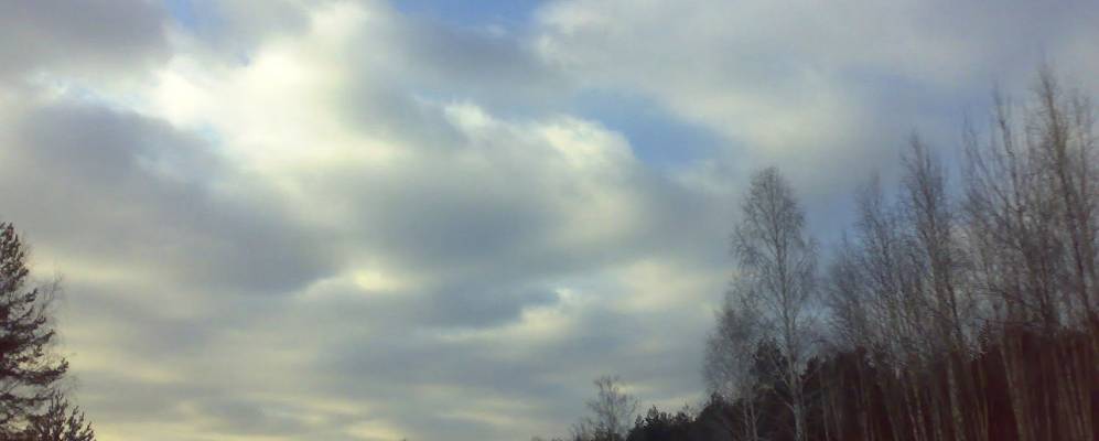 Фотография Червоной Кветки