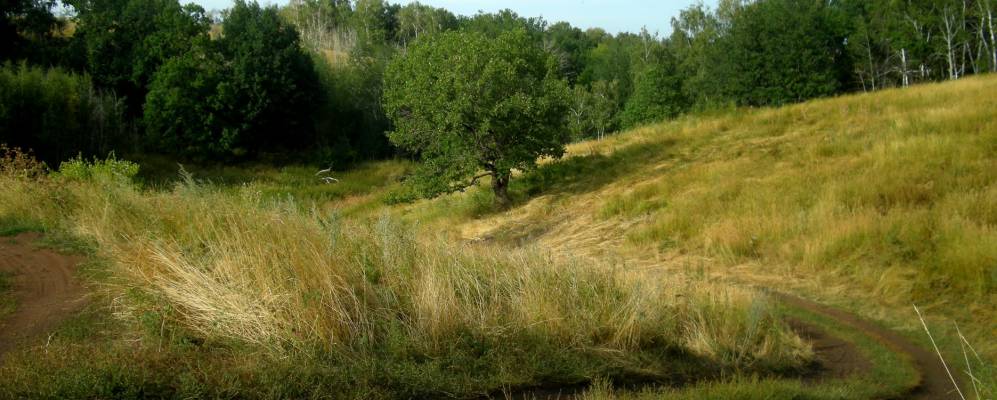 
            Фотография Ольховки