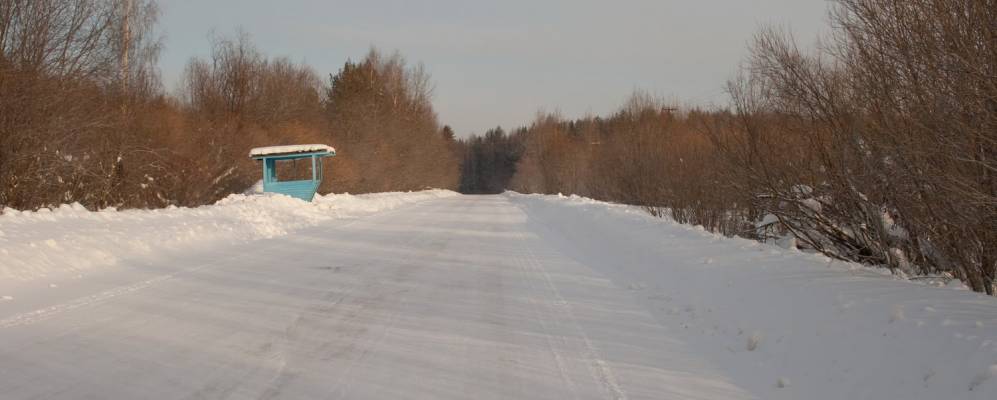 
            Фотография Кротов