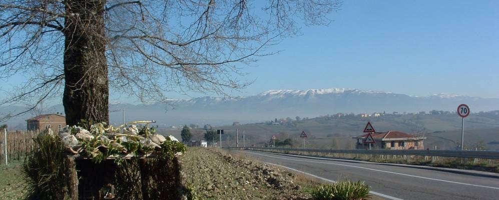 
            Фотография Фаббри