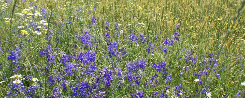 
            Фотография Галинки