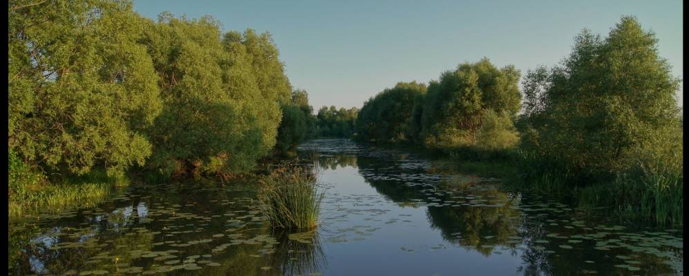 
            Фотография Александровки