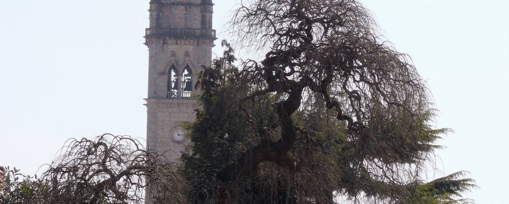 
            Фотография Фрегоны