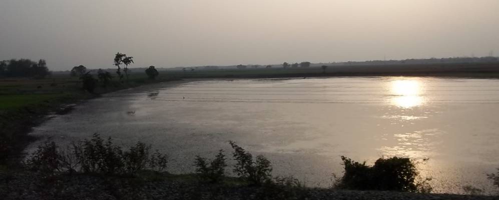 
            Фотография Долколы