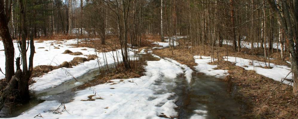 
            Фотография Пугарево